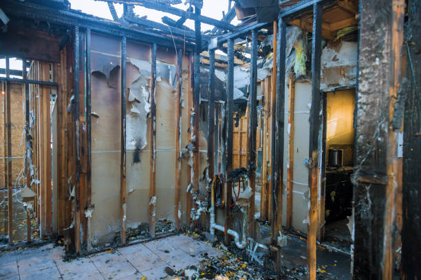 Professional Structural Rebuild technician working in Cedar, MN
